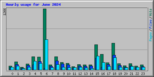 Hourly usage for June 2024