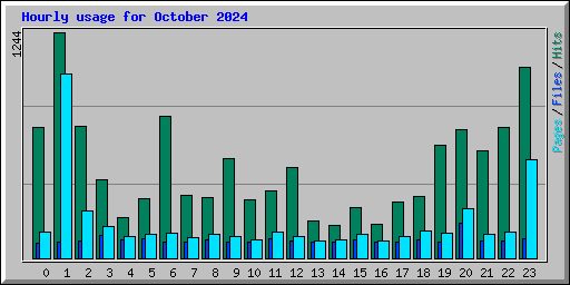 Hourly usage for October 2024